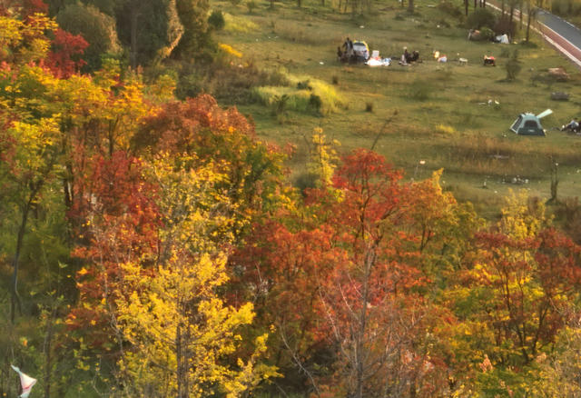 秋日暖阳 秋色 色彩缤纷 休闲