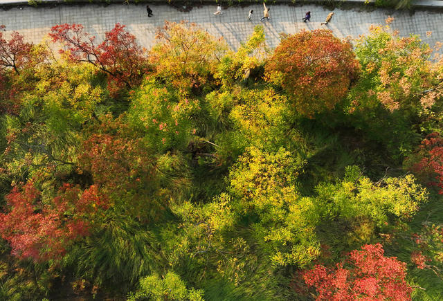 秋日暖阳 秋色 色彩缤纷 休闲