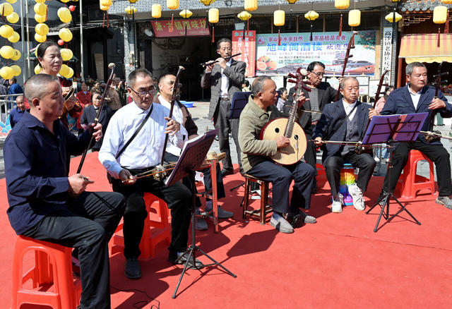重阳节 老年人 文化 文艺 乐器 演奏  晚年生活
