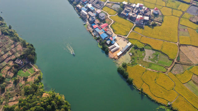 美丽乡村 美丽中国 晚稻 稻田 农村 丰收 金秋