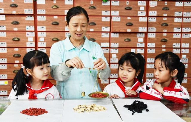 学习  中药   知识