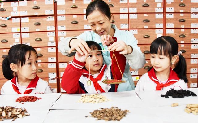 学习  中药   知识