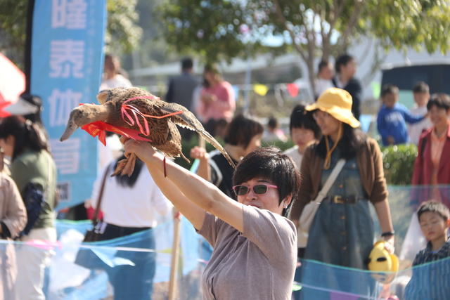 趣味农耕  农业生产  秋收