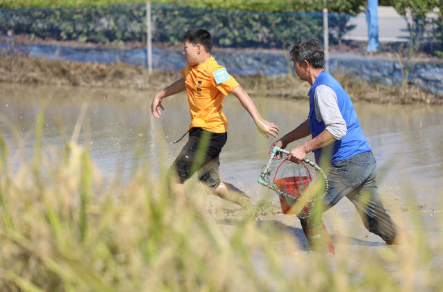农业 丰收 庆祝 活动