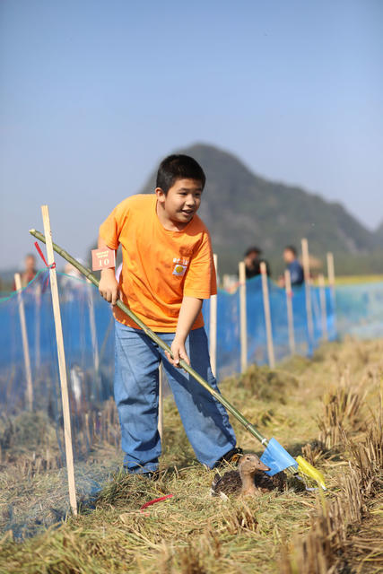 农业 丰收 庆祝 活动