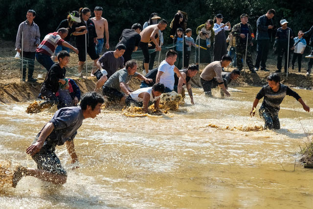 重阳节 传统文化 乡村振兴