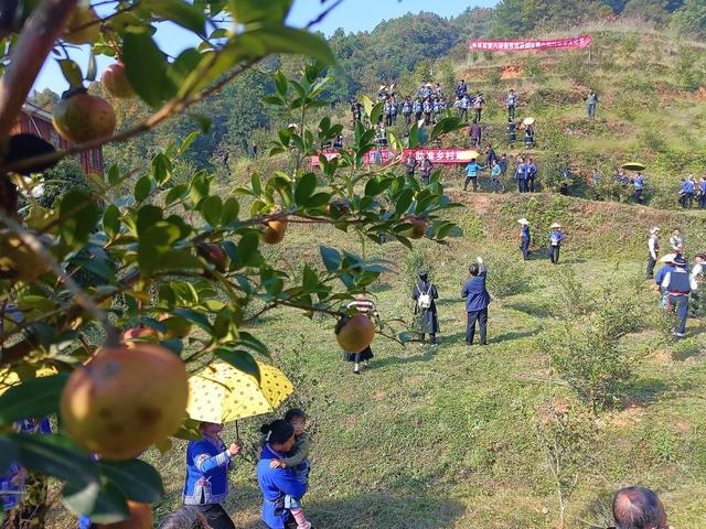 通道县 八路村 歌会