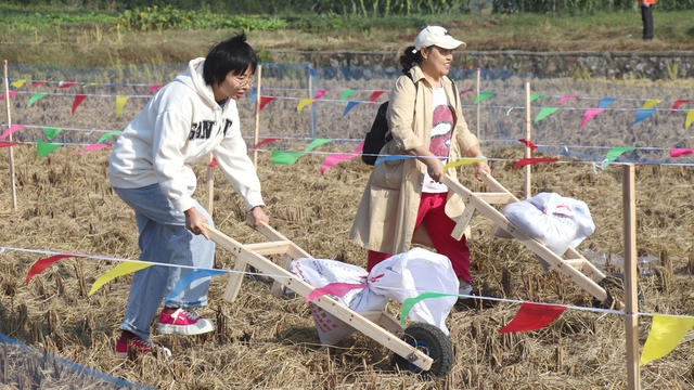永州市湾井镇周家坝村 农耕文化节 趣味农耕