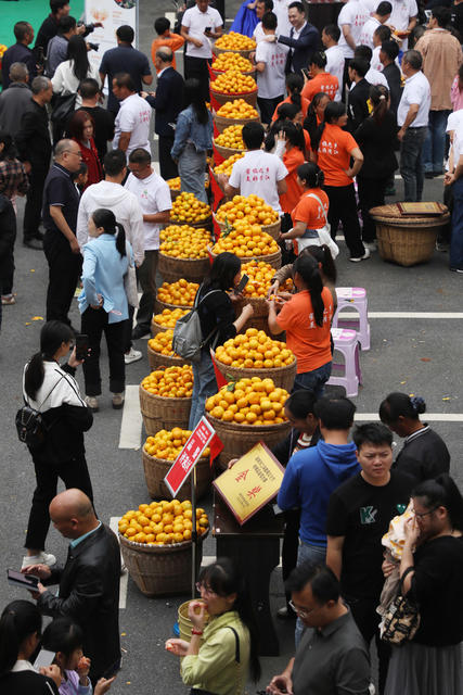 金秋时节 蜜橘丰收 农业产业 增收致富 乡村振兴 