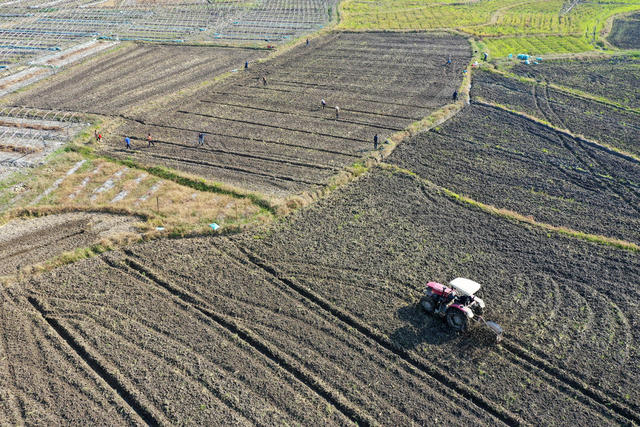 金秋 农副 播种 整地 施肥