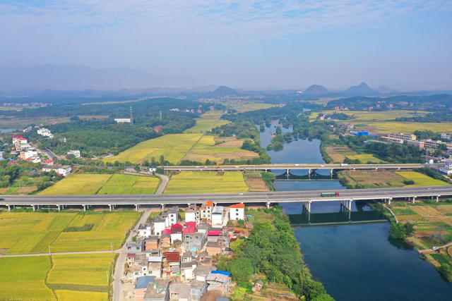 交通 道路 金秋