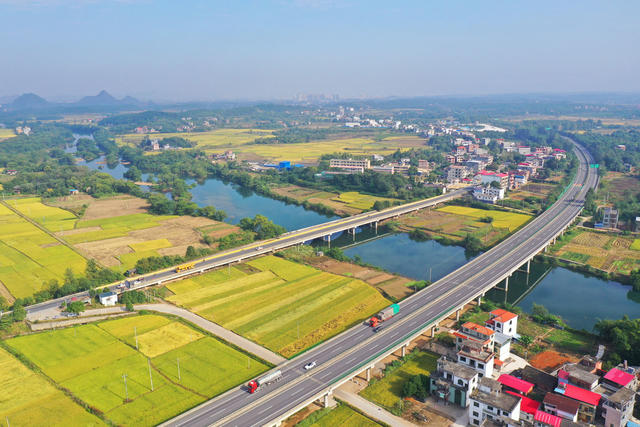 交通 道路 金秋