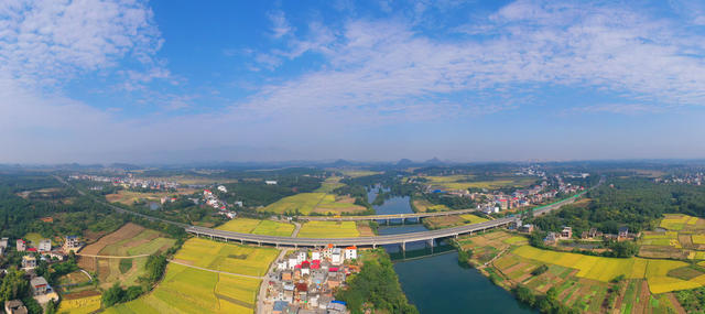 交通 道路 金秋