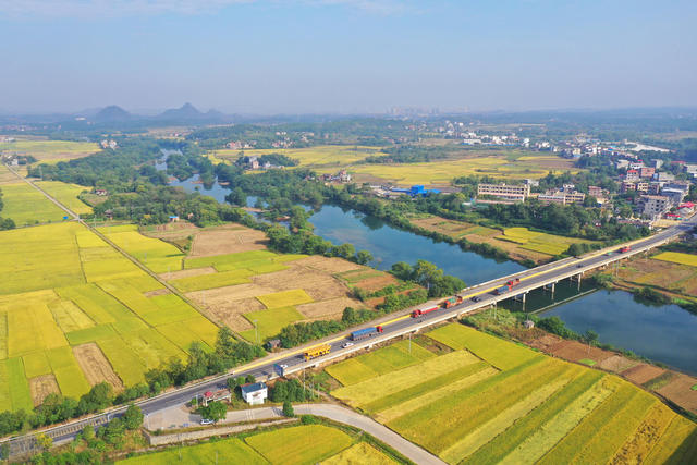 交通 道路 金秋