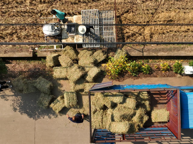 秸秆 回收 再利用 生态 保护 助农 增收