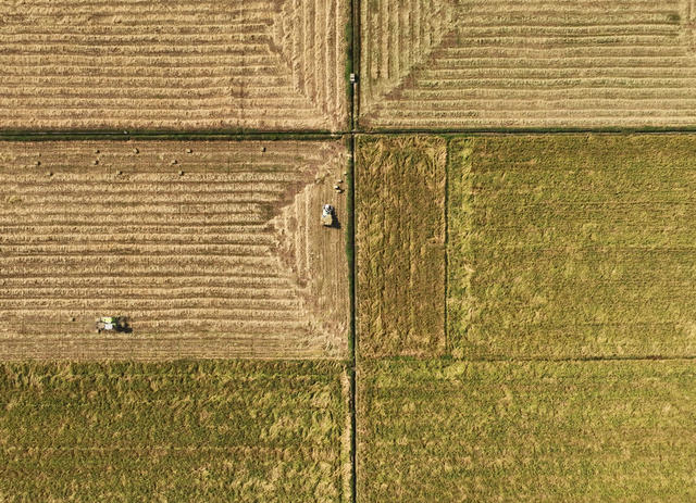 秸秆 回收 再利用 生态 保护 助农 增收