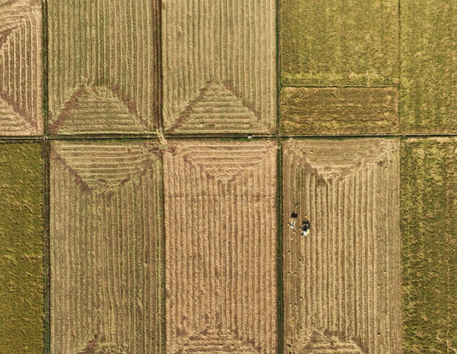 秸秆 回收 再利用 生态 保护 助农 增收