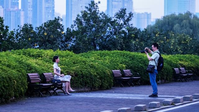 霜降日，橘子洲景区，色彩斑斓，秋色如画，赏秋观景，