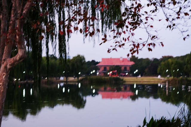 霜降日，橘子洲景区，色彩斑斓，秋色如画，赏秋观景，