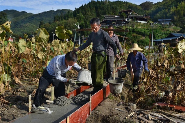 田埂防渗施工忙
