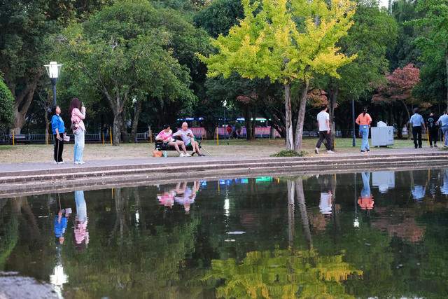 霜降日，橘子洲景区，色彩斑斓，秋色如画，赏秋观景，
