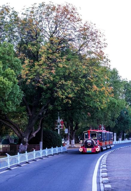霜降日，橘子洲景区，色彩斑斓，秋色如画，赏秋观景，