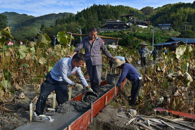 田埂防渗施工忙