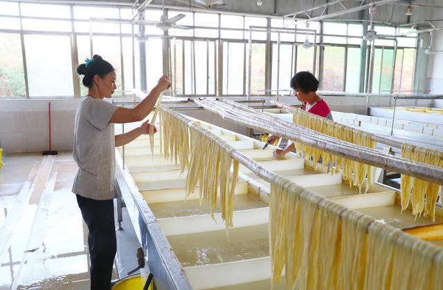 腐竹  生产  产业