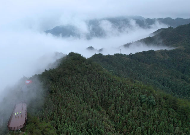 湖南桂东 候鸟 护鸟 志愿者
