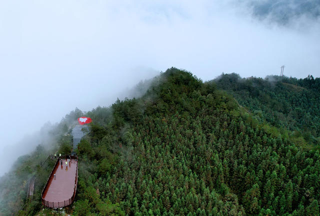 湖南桂东 候鸟 护鸟 志愿者