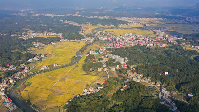 农业 农村 秋收 丰收 金秋 立冬 晚稻 美丽乡村 乡村振兴