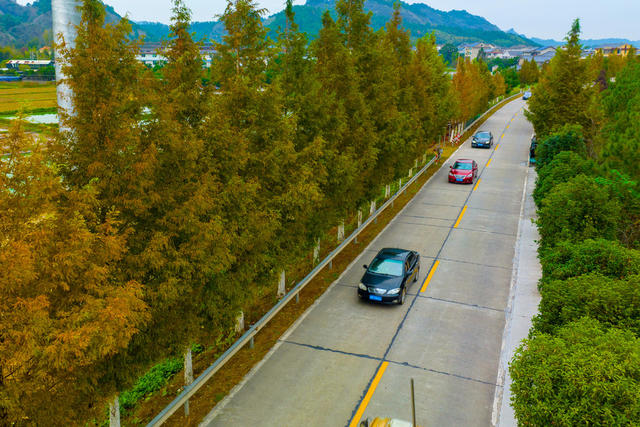 公路、交通、农村公路、风景、绿化