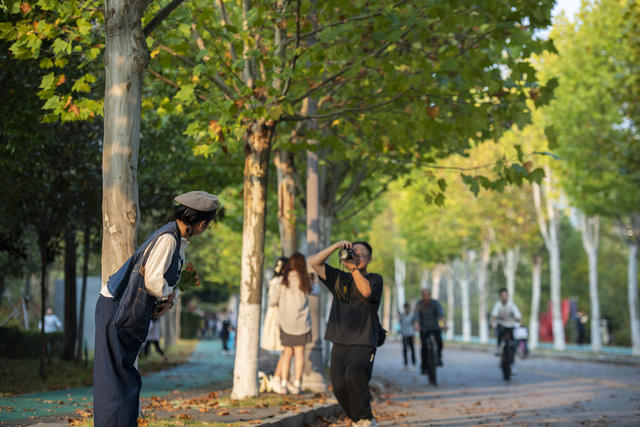 金秋,落叶,秋意,秋色,娄底 孙水公园