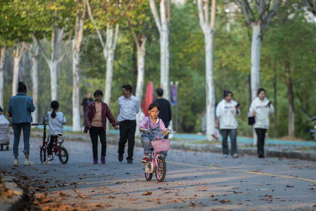 金秋,落叶,秋意,秋色,娄底 孙水公园