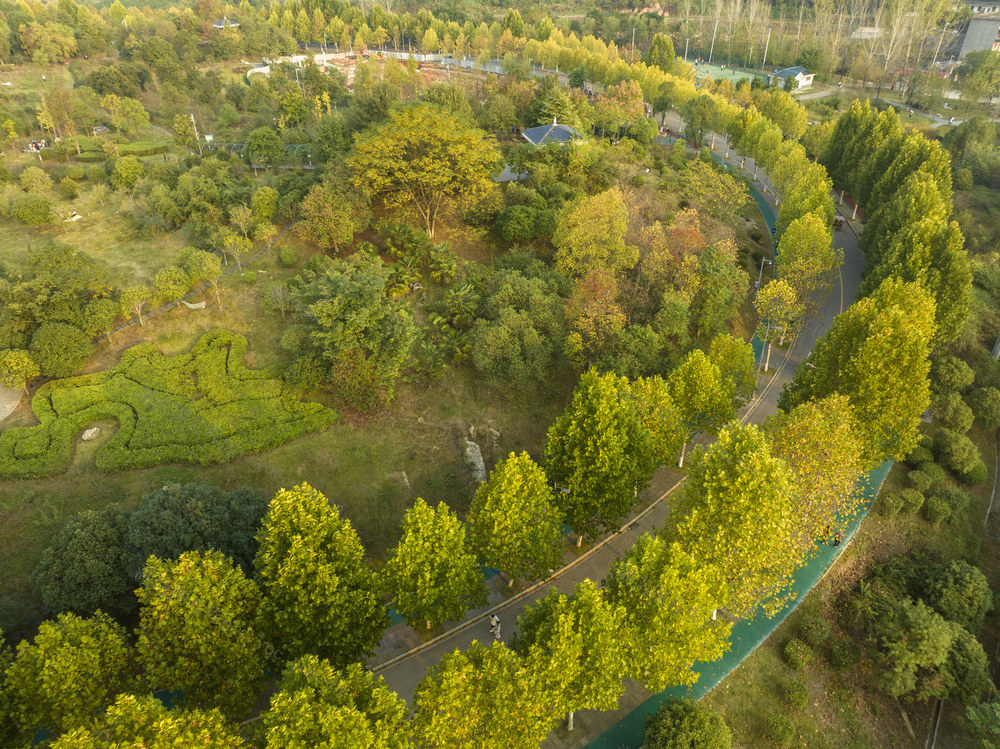 金秋,落叶,秋意,秋色,娄底 孙水公园