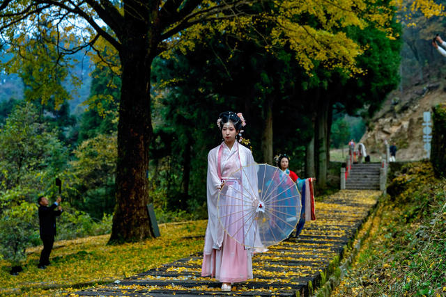 秋色  旅游