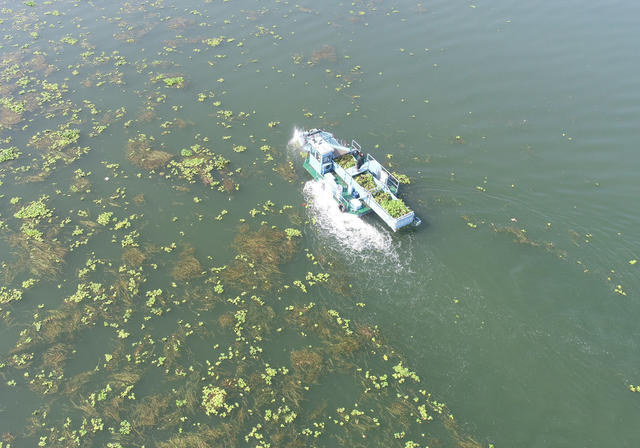 生态环境  河流  河长制  综合治理  乡村振兴  环保  清理水草