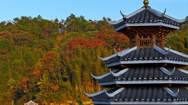 秋天、景色、红叶、林业、
