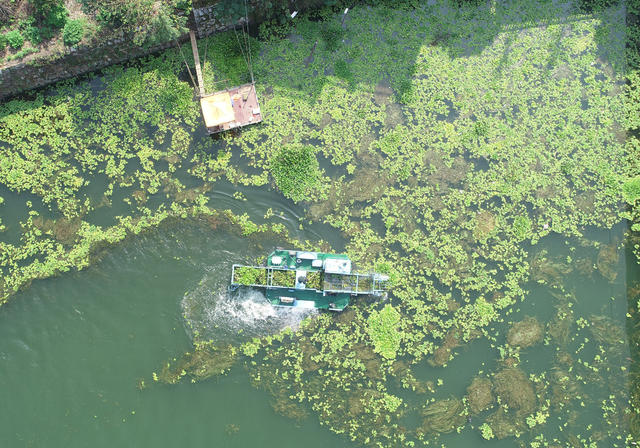 生态环境  河流  河长制  综合治理  乡村振兴  环保  清理水草