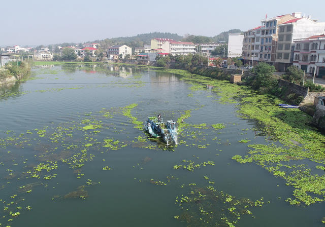 生态环境  河流  河长制  综合治理  乡村振兴  环保  清理水草