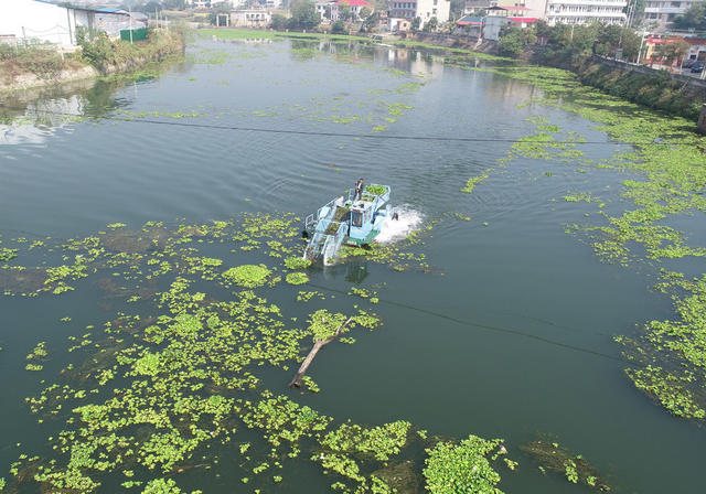 生态环境  河流  河长制  综合治理  乡村振兴  环保  清理水草