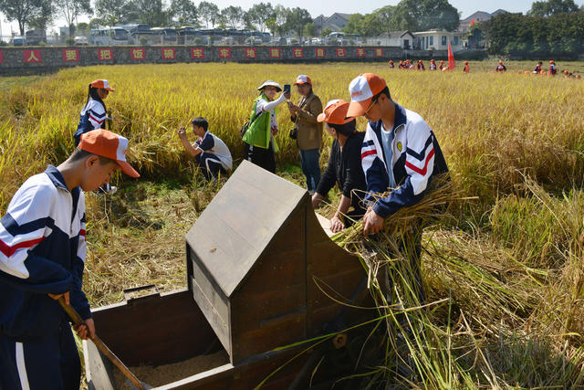 研学实践在田间