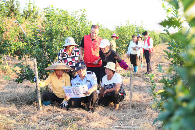 禁毒  知识   宣传  果园