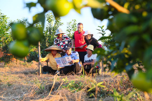 禁毒  知识   宣传  果园