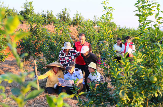 禁毒  知识   宣传  果园