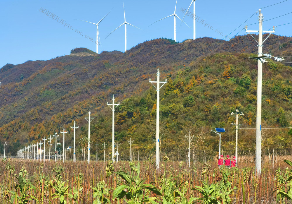 秋色  供电 党员