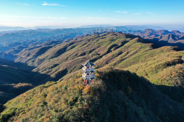 湘西，龙山，色彩，秋色，林场，落叶松，景色