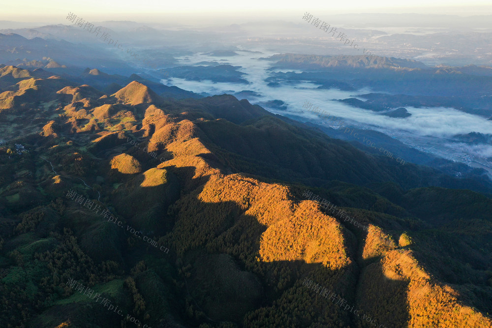 湘西，龙山，色彩，秋色，林场，落叶松，景色