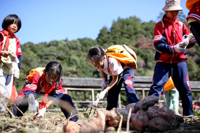 研学 劳动教育 非遗 通道县