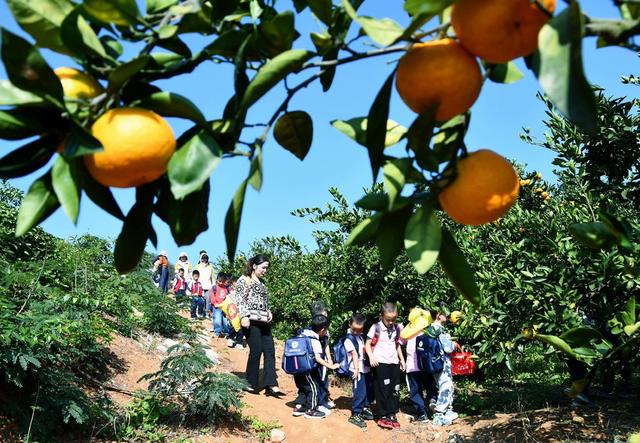 体验  收获  乐趣